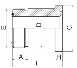 1FFS LOHQ2 SAE Фланцевые прямые фитинги ORFS