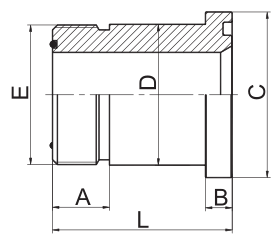 1FFL LOHQ1 SAE Фланцевые прямые фитинги ORFS